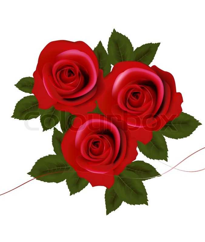 Red Rose Vector
