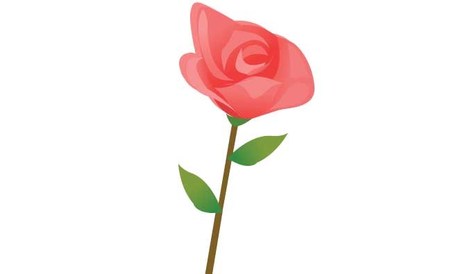 680x395 Red Rose Vector Vectorish