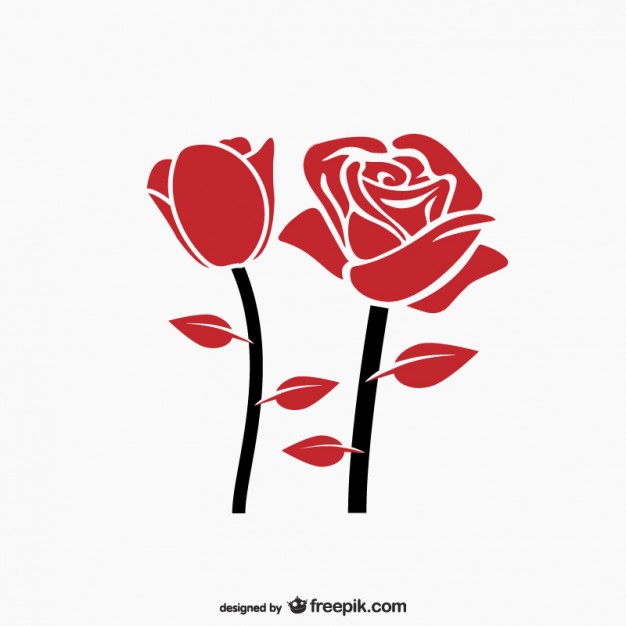 626x626 Red Rose Vectors, Photos And Psd Files Free Download