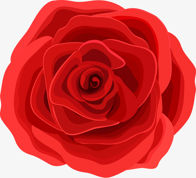 650x590 Red Roses Vector Material, Roses, Red Roses, Red Rose Png And