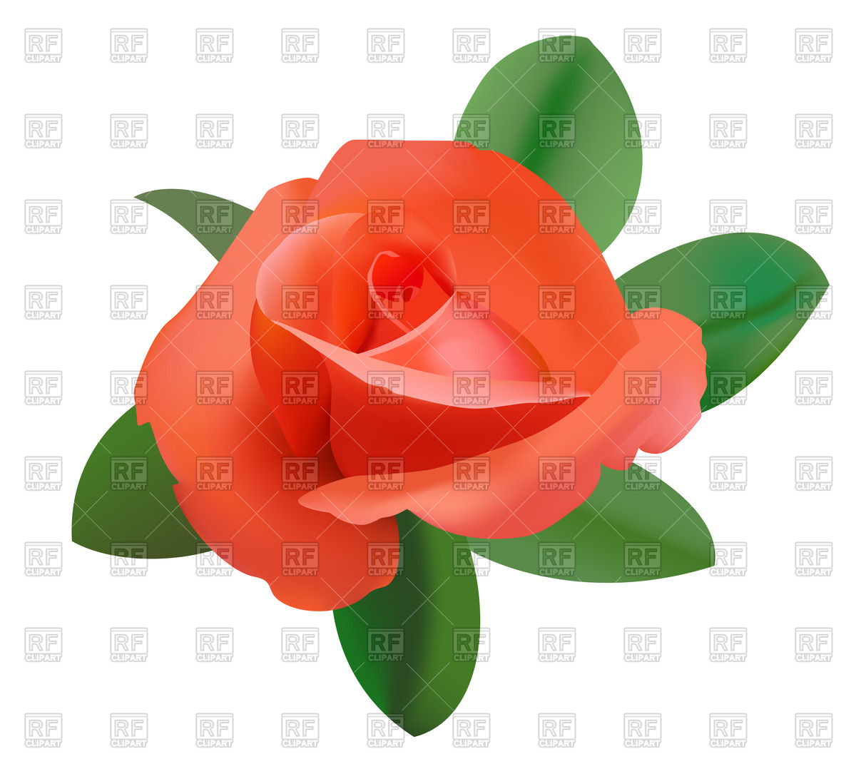 1200x1071 Red Rose Vector Image Vector Artwork Of Plants And Animals