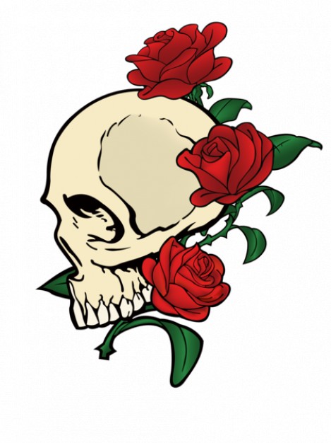 469x626 Skull With Red Rose Vector Stock Images