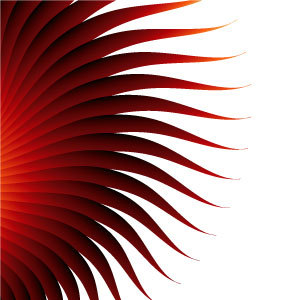 300x300 Flower Red Vector Background