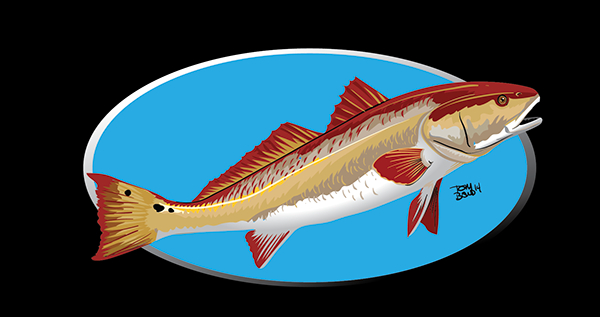 600x317 Redfish Illustration On Behance