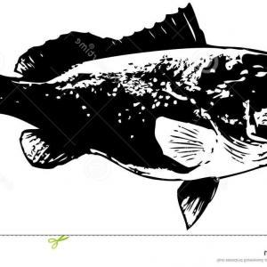 300x300 Stock Vector Cute Red Fish Cartoon Arenawp