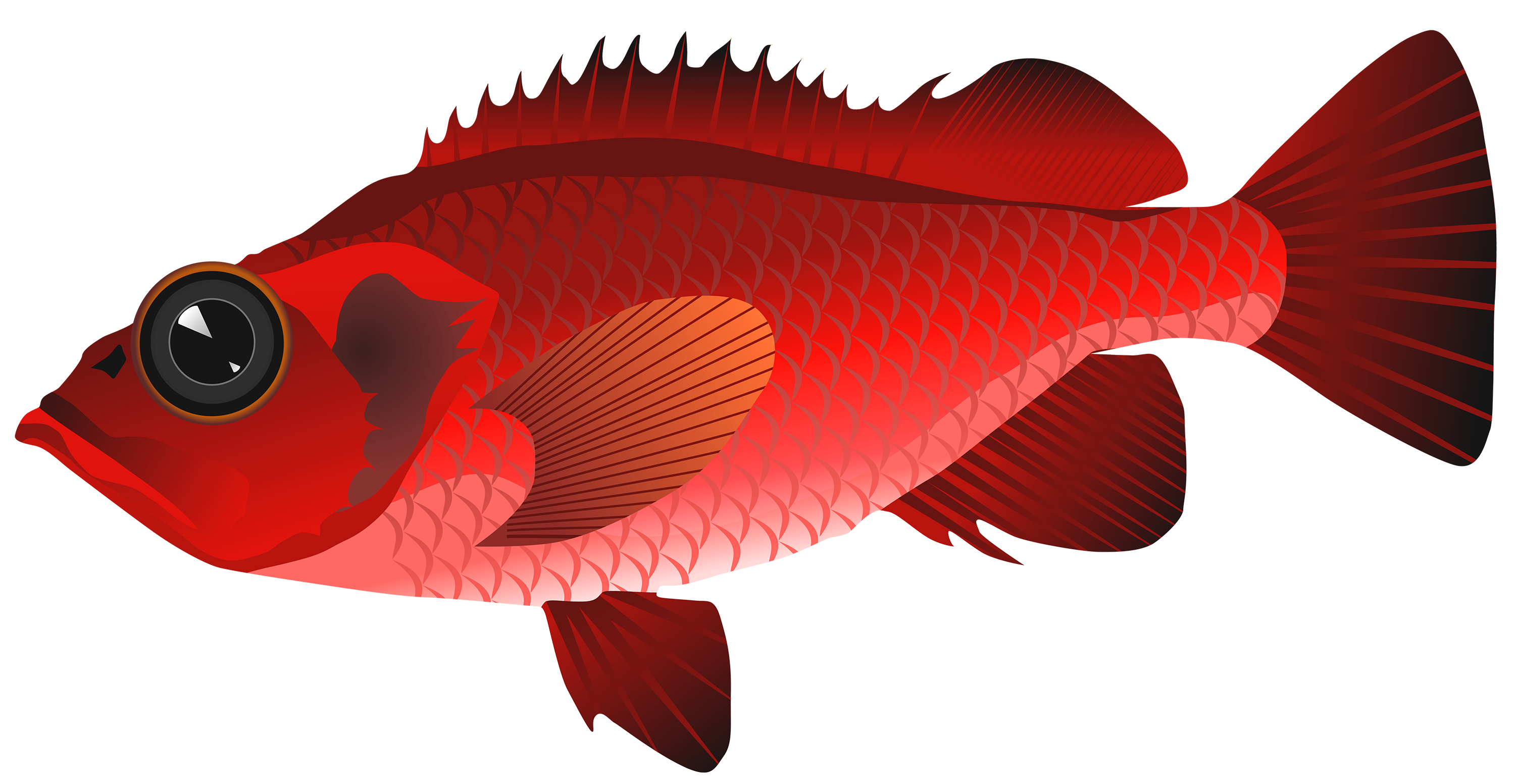 137+ Download Red Fish SVG - Free Download SVG Cut Files | Download ...