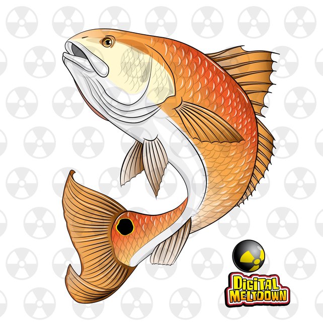 redfish tail vector
