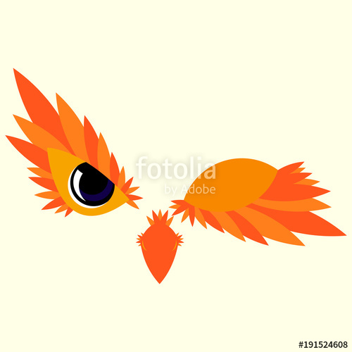 500x500 The Face Of The Owl Winked