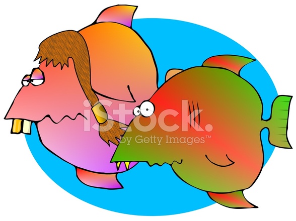 588x440 Redneck Fish Stock Vector