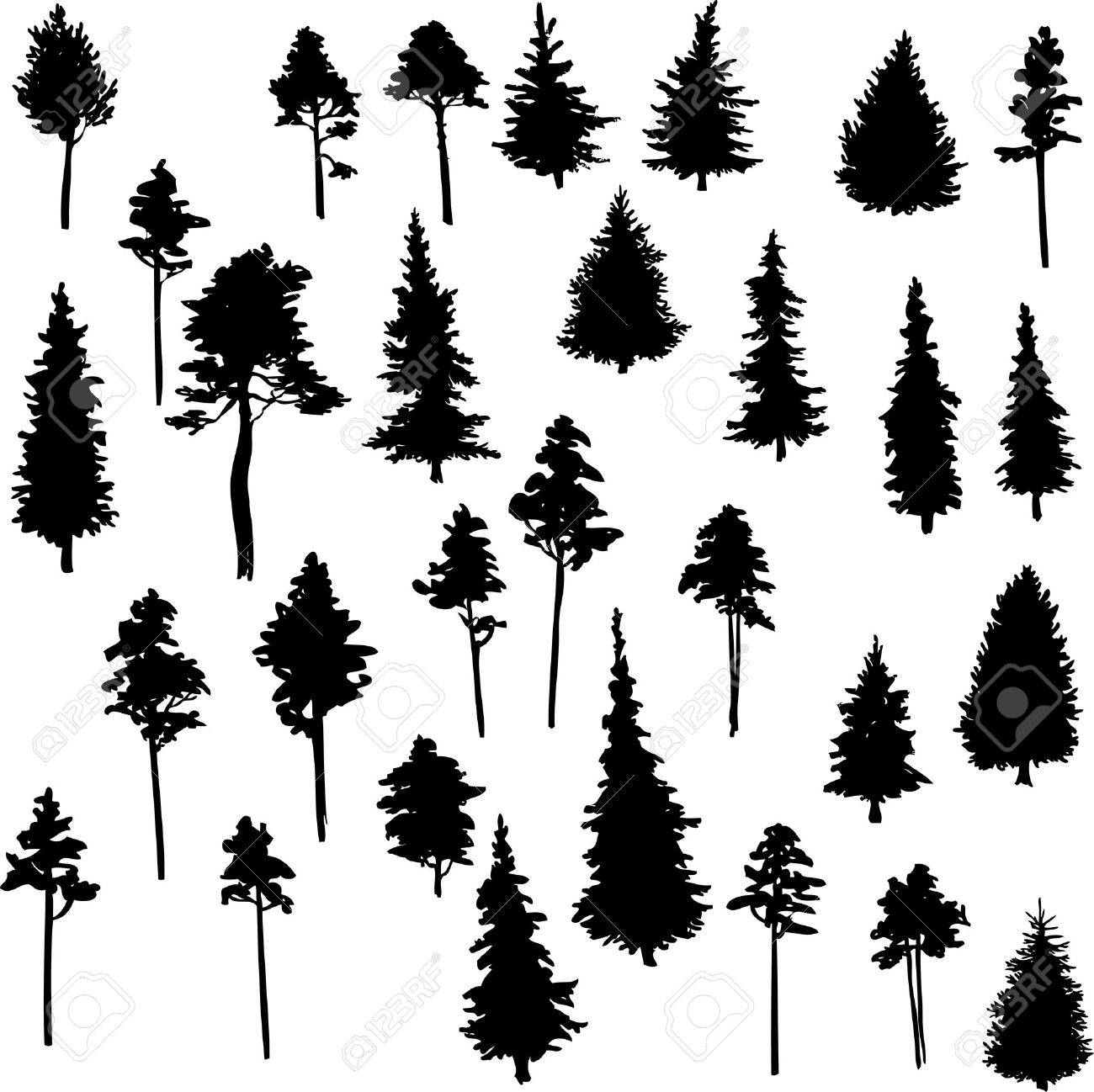 1300x1298 Pine Clipart Conifer Tree