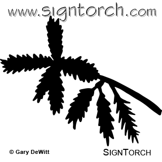 320x320 Redwood Tree Leaf Signtorch, Turning Images Into Vector Cut Paths.