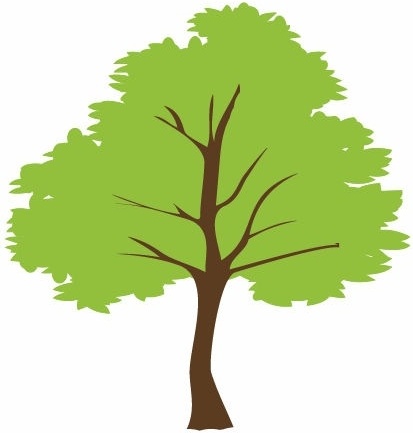 413x433 Trees Vector Art