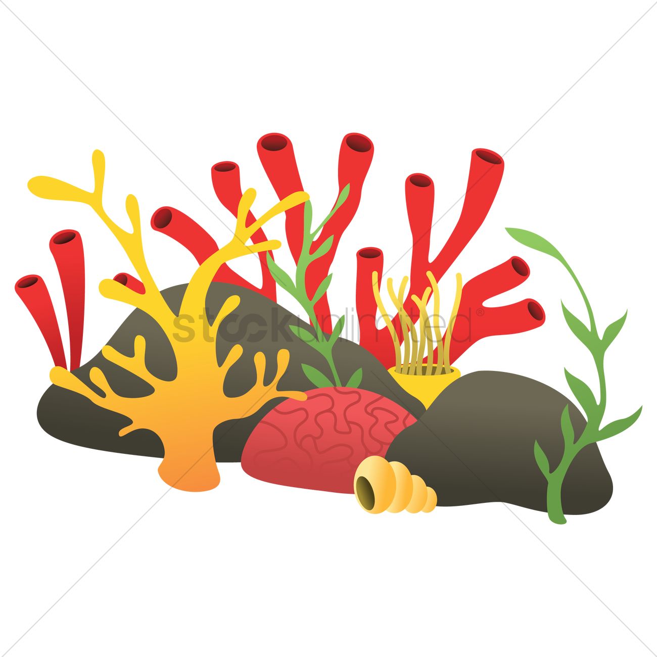 1300x1300 Corals Reef Vector Image