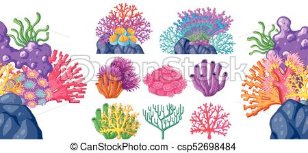 450x224 Different Types Of Coral Reef Illustration.