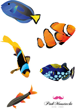 257x368 Reef Free Vector Download (16 Free Vector) For Commercial Use