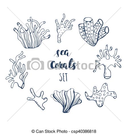 450x470 Set Of Hand Drawn Underwater Coral Reef Elements. Vector Design