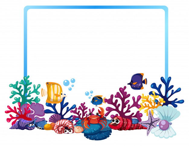 626x485 Border Template With Fish And Coral Reef Vector Premium Download