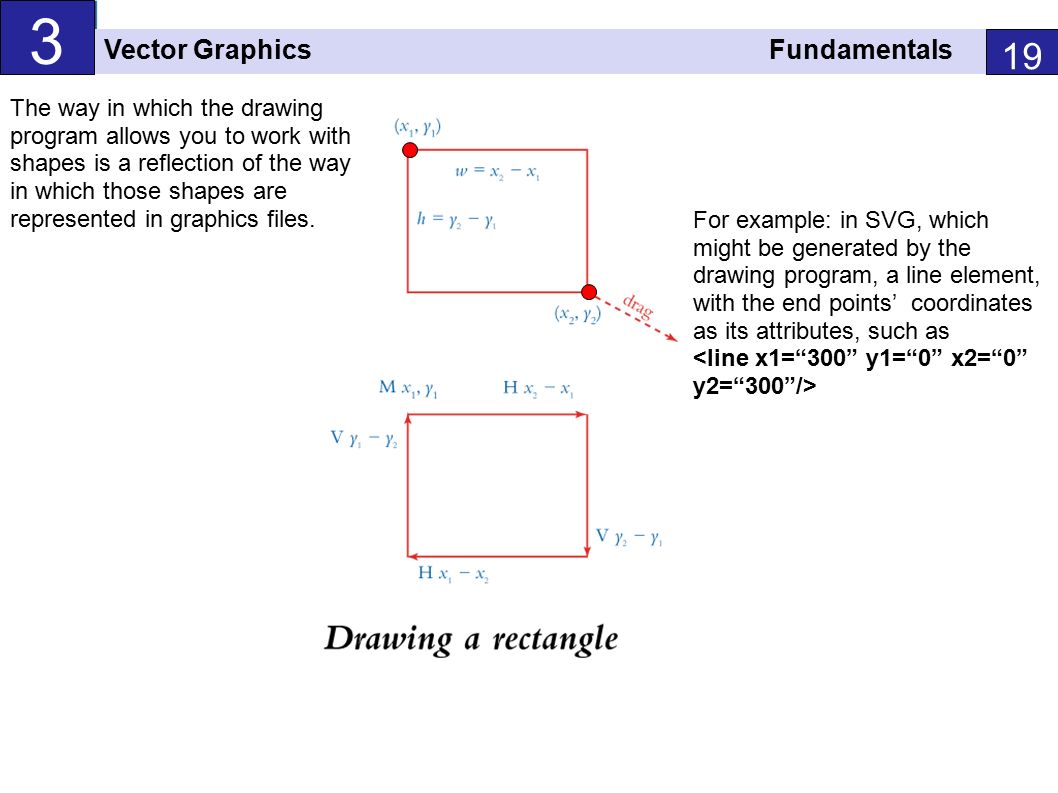 1058x793 Main Characteristics Of Vector Graphics Vector Graphics Provide