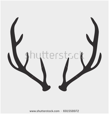 450x470 50 Astonishing Pictures Of Deer Antlers Vector Backgrounds