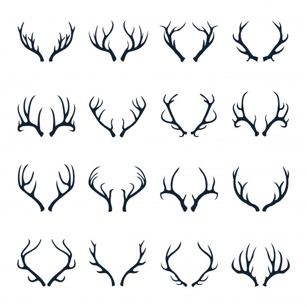 626x626 Antler Vectors, Photos And Psd Files Free Download