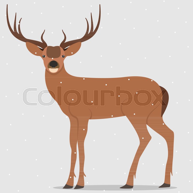 800x800 Deer, Simple Vector Illustration. Hand Drawn Reindeer. Stock