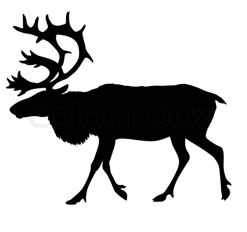 800x753 Reindeer Vector Silhouette