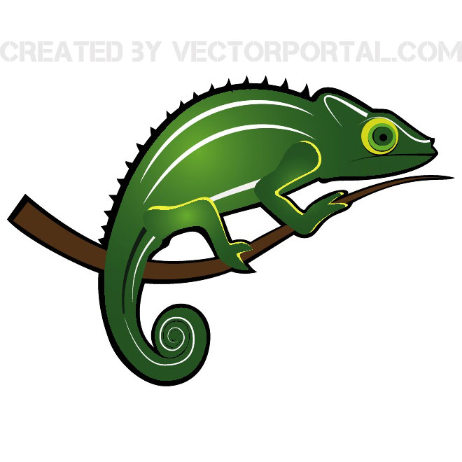 660x660 Free Reptile Vectors 64 Downloads Found