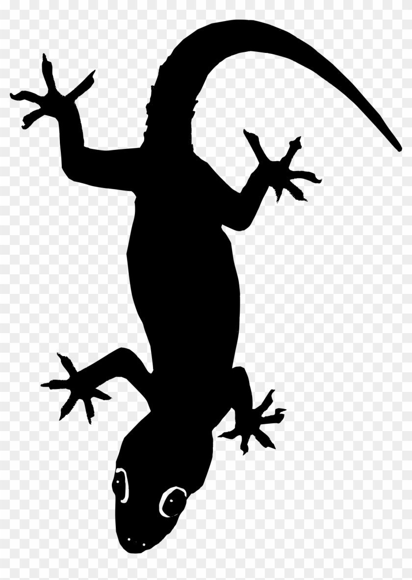 840x1184 Lizard Clip Art