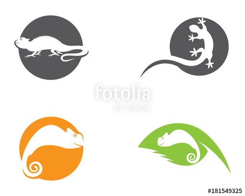 500x400 Lizard Vector Illustration Logo Template Stock Image And Royalty