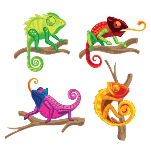 490x490 Set Of Chameleon Lizard Standing On A Plant