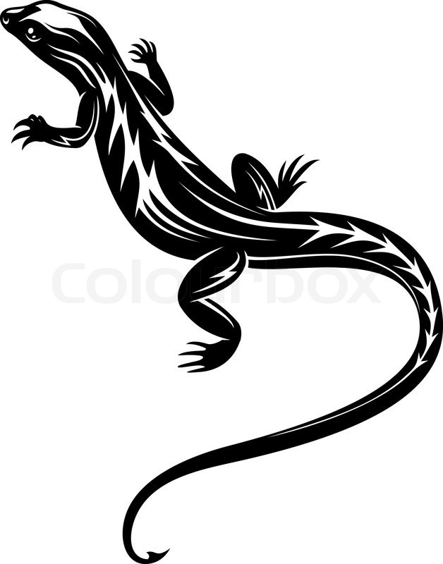 628x800 Black Lizard Reptile Stock Vector Colourbox