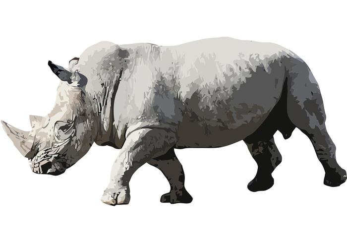 700x490 Rhino Vector