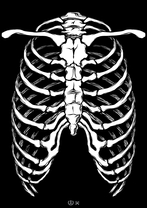 595x842 Tshirt Ribcage By E1 Since1987