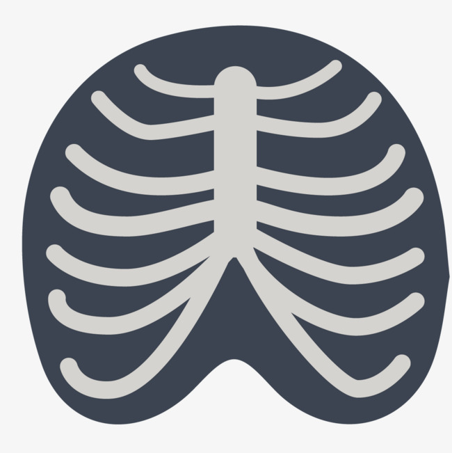 650x651 Vector Ribs, Vector, Rib Cage, Flat Png And Vector For Free Download