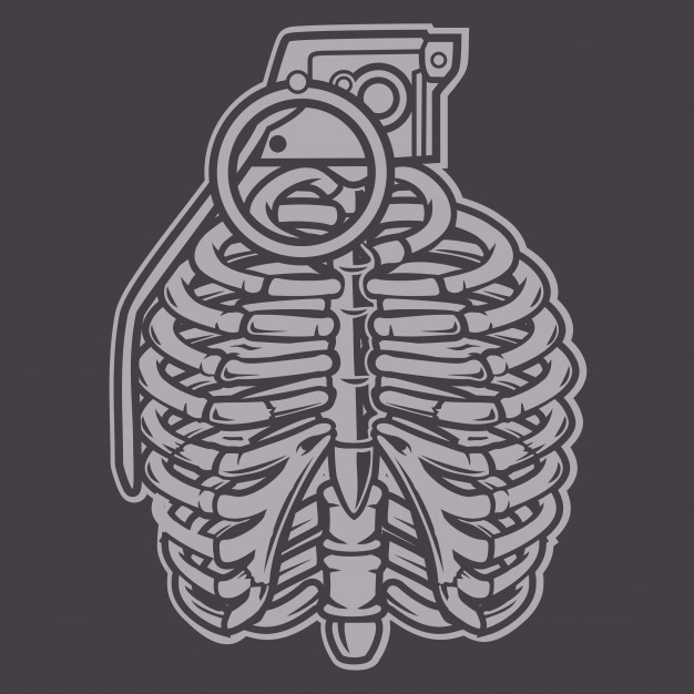 626x626 Grenade Ribcage Vector Premium Download