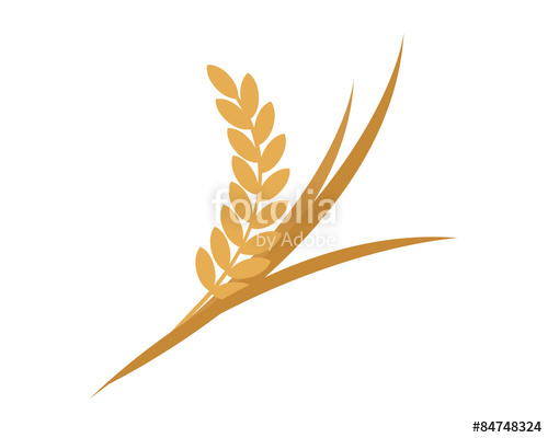 500x400 Golden Rice, Wheat Logo Stock Image And Royalty Free Vector Files