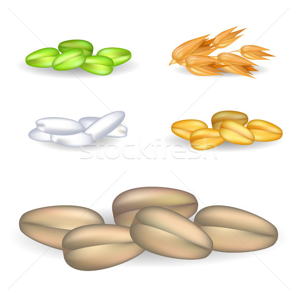 600x600 Rice Grain Stock Vectors, Illustrations And Cliparts Stockfresh