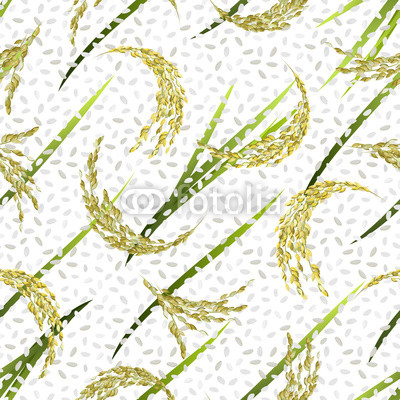 400x400 Seamless Vector Pattern With Rice Grain And Panicles On White
