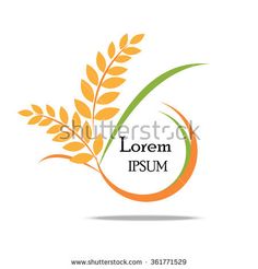 236x246 Rice Set. Letter