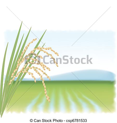 450x470 Rice Field And A Branch Of Ripe Rice. Vector Illustration.