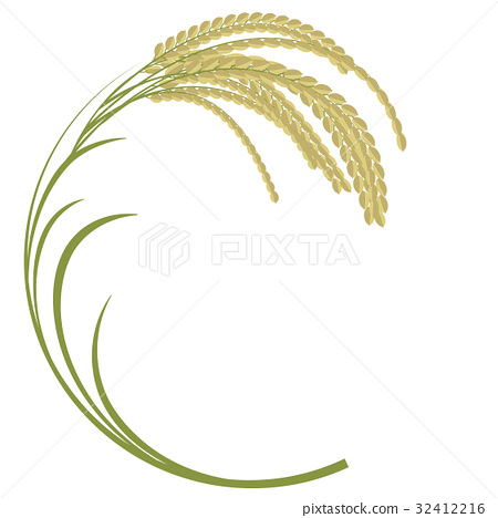450x468 Ear Of Rice, Vector, Vectors