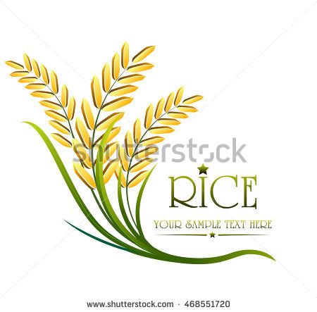 450x443 Grain Organic Natural Product With Black Background. Concept