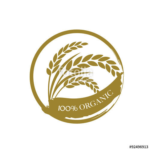 500x500 Rice Vector Stock Image And Royalty Free Vector Files On Fotolia