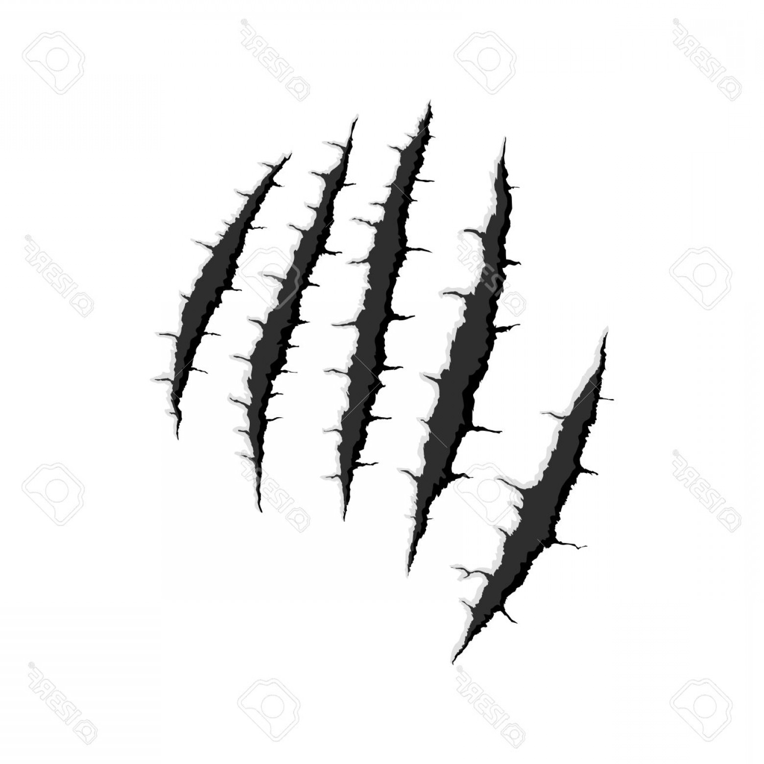 1560x1560 Tiger Claw Tear Vector Shopatcloth