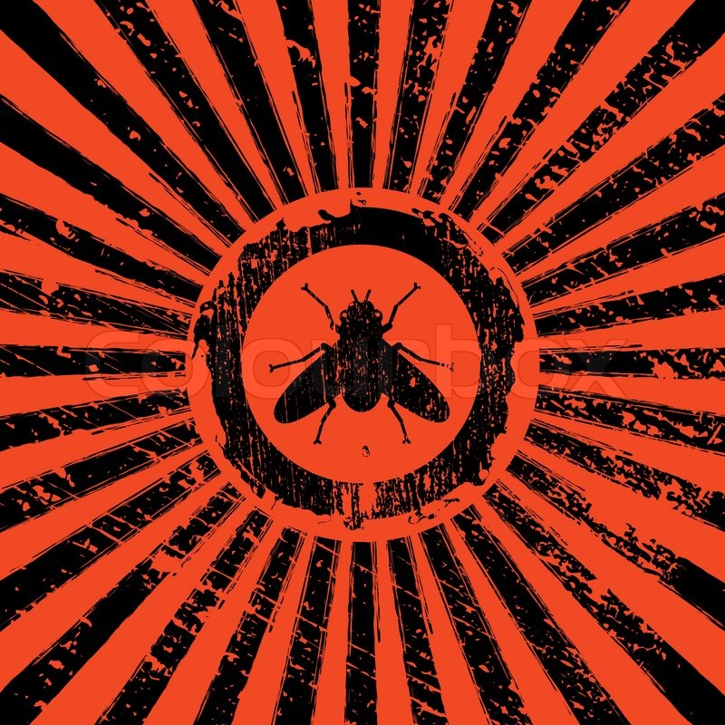 800x800 Icon Of Fly On Rising Sun Rays Stock Vector Colourbox