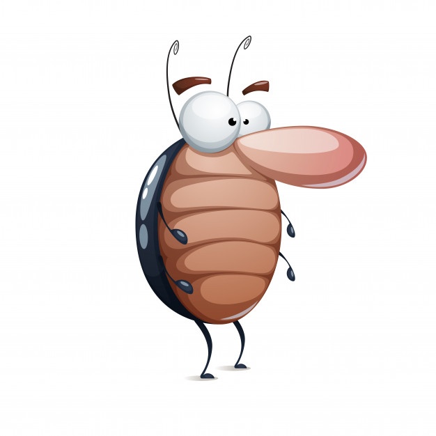 626x626 Cockroach Vectors, Photos And Psd Files Free Download