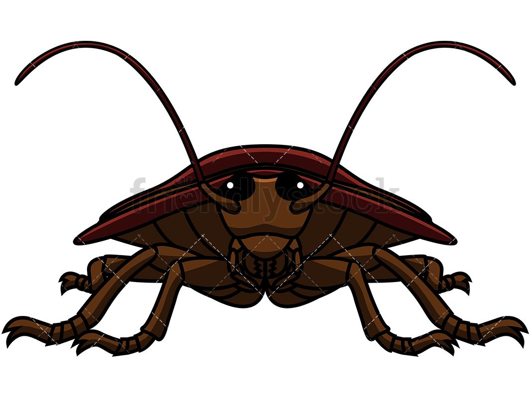 1067x800 Front View Cockroach Cartoon Vector Clipart Clipart Of Animals