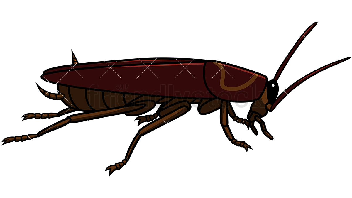 1200x675 Side View Cockroach Cartoon Vector Clipart