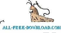 208x113 Vector Roach Free Vector Download (5 Free Vector) For Commercial