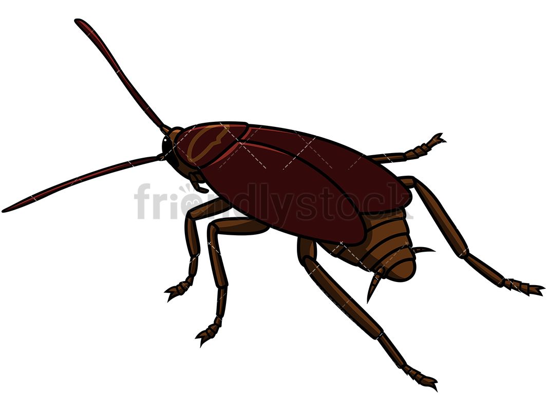 1067x800 Back View Cockroach Cartoon Vector Clipart Clipart Of Animals